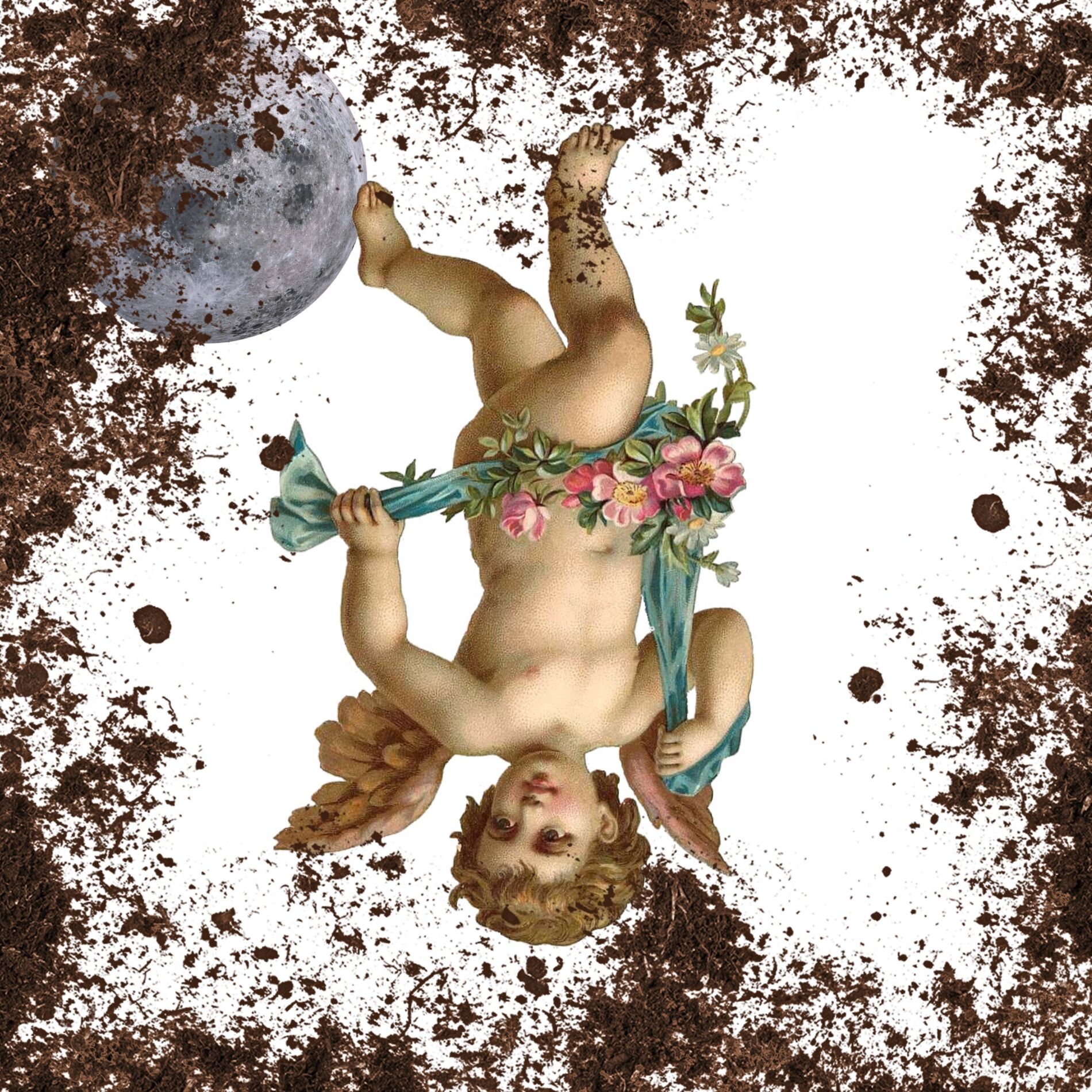 Album cover of Cupido Caído