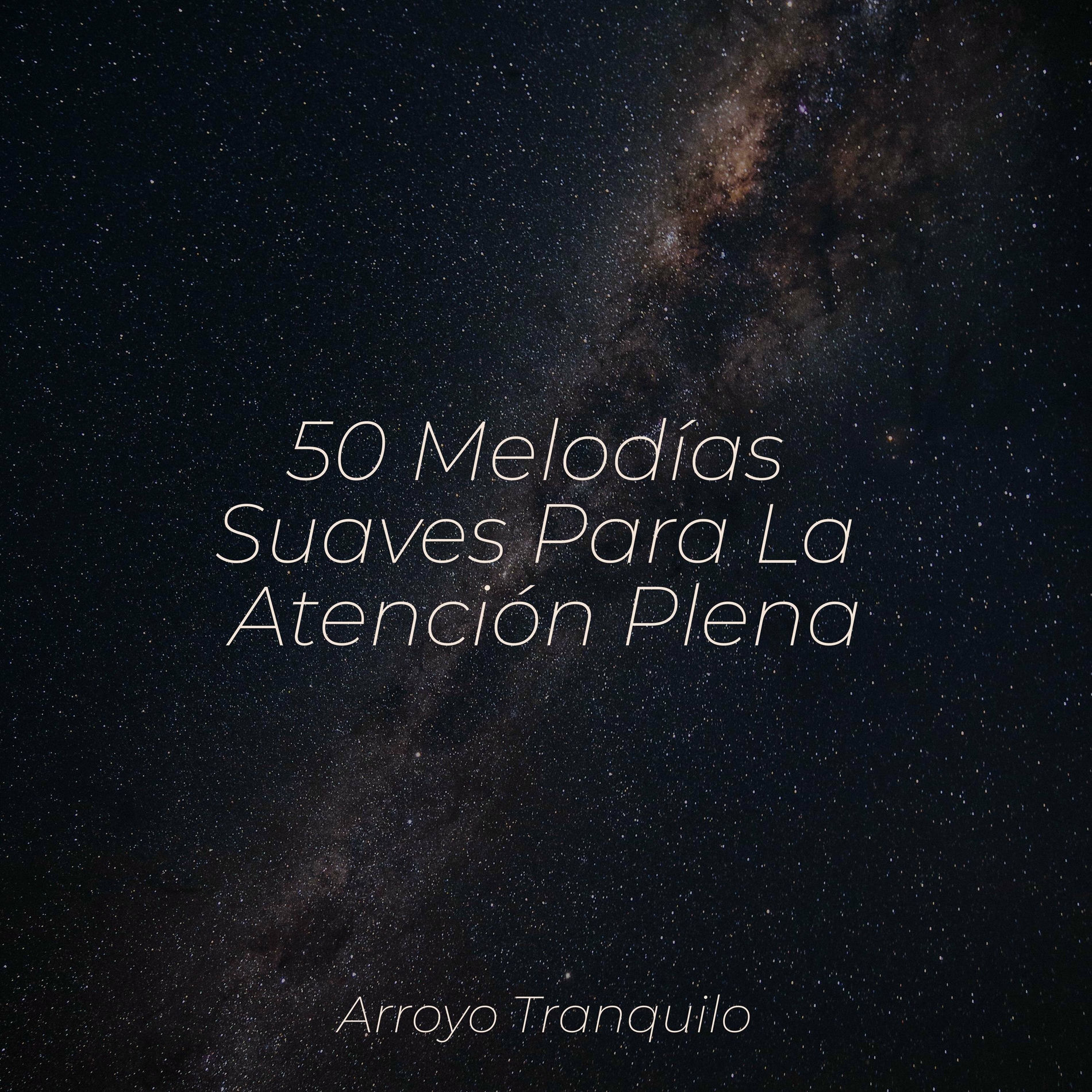 Album cover of 50 Melodías Suaves Para La Atención Plena