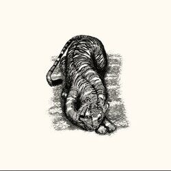 Cover of Dancing Our Old Lives Away