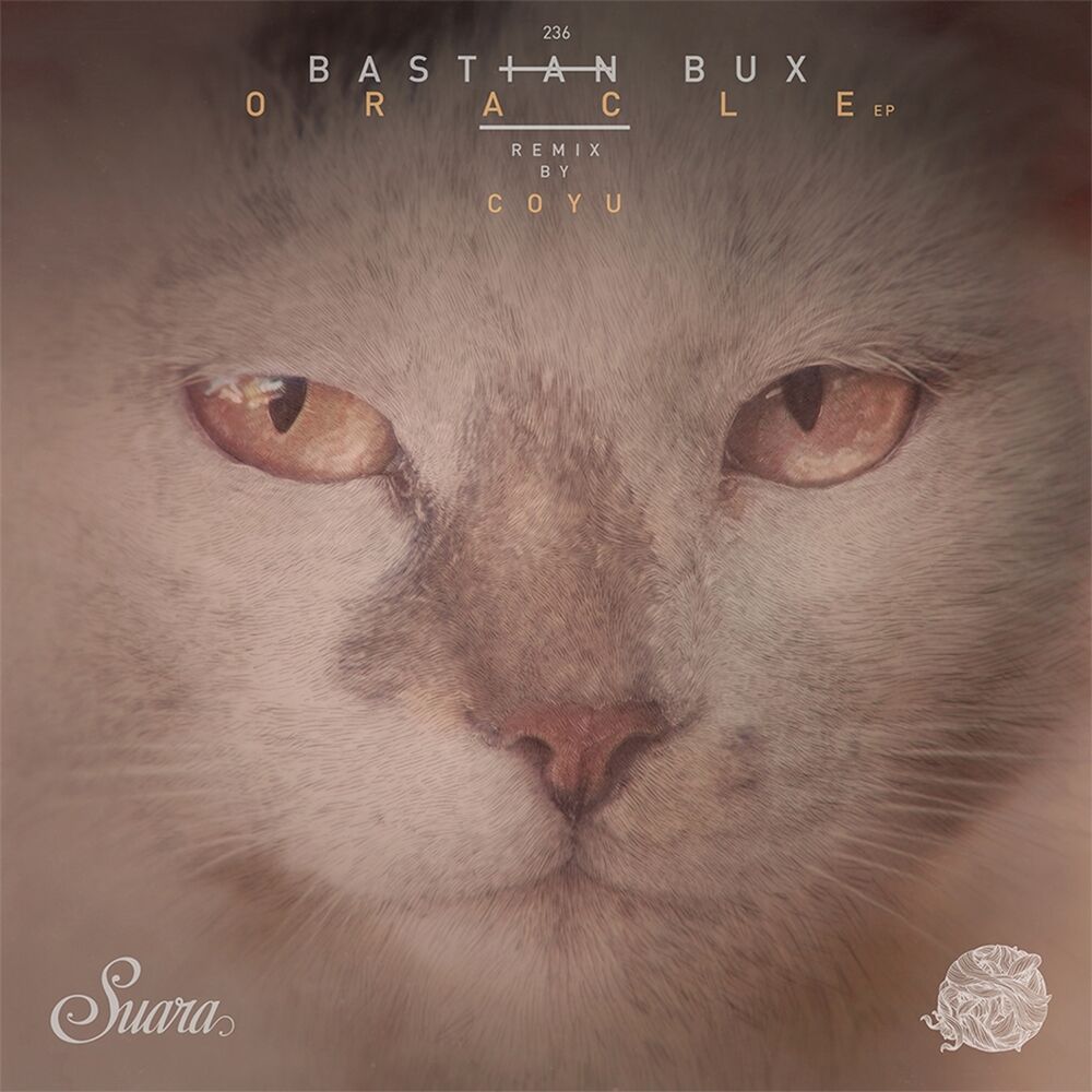 Picture of Oracle EP