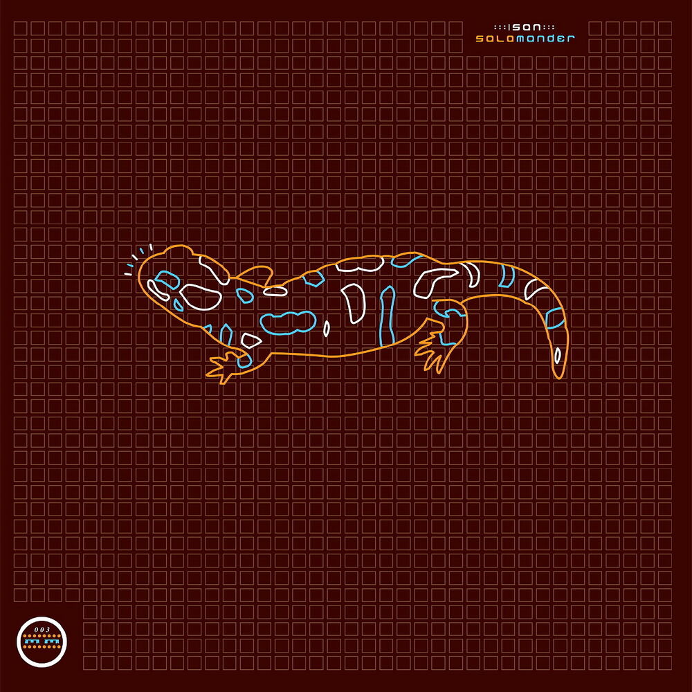 Picture of Salamander