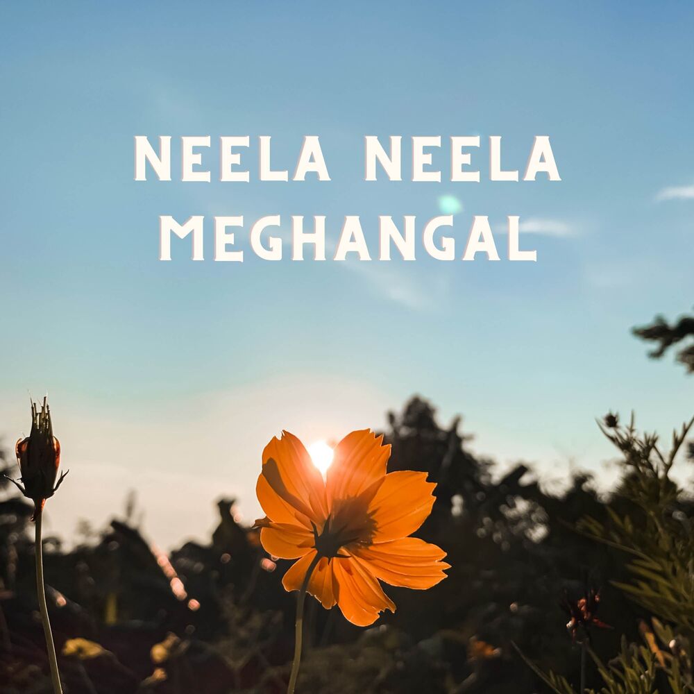 Picture of Neela Neela Meghangal