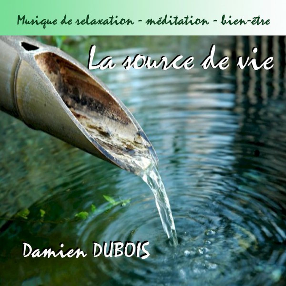 Album cover of La source de vie