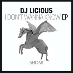 DJ Licious — I Don't Wanna Know