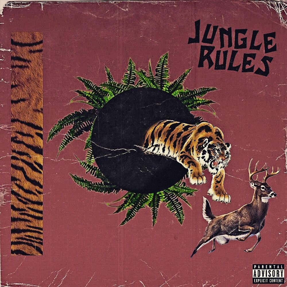 Picture of Jungle Rules