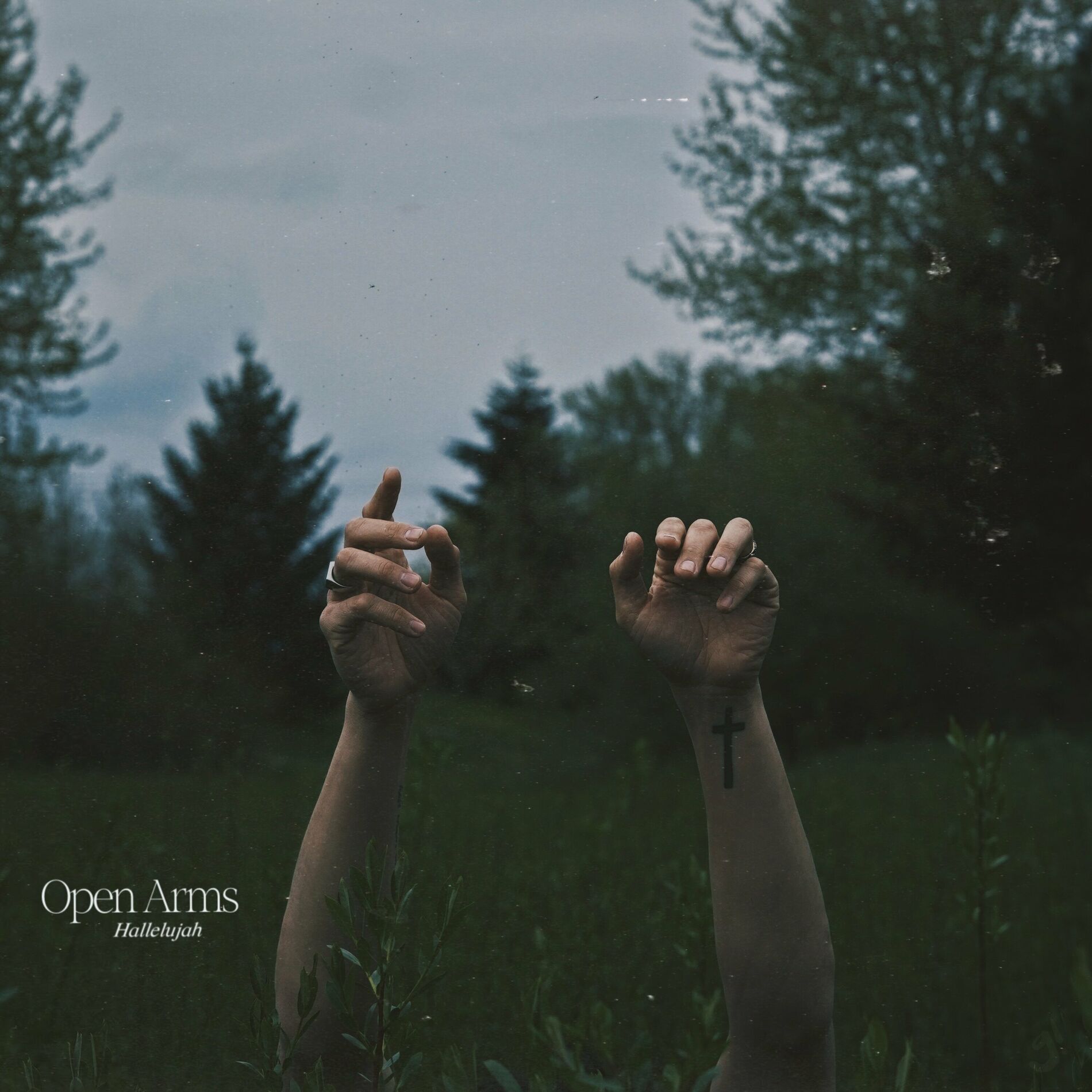 Album cover of Open Arms (Hallelujah)