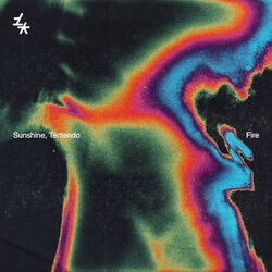 Cover of Fire