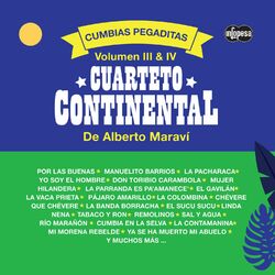 Cover of Cumbias Pegaditas Volumen 3 & 4