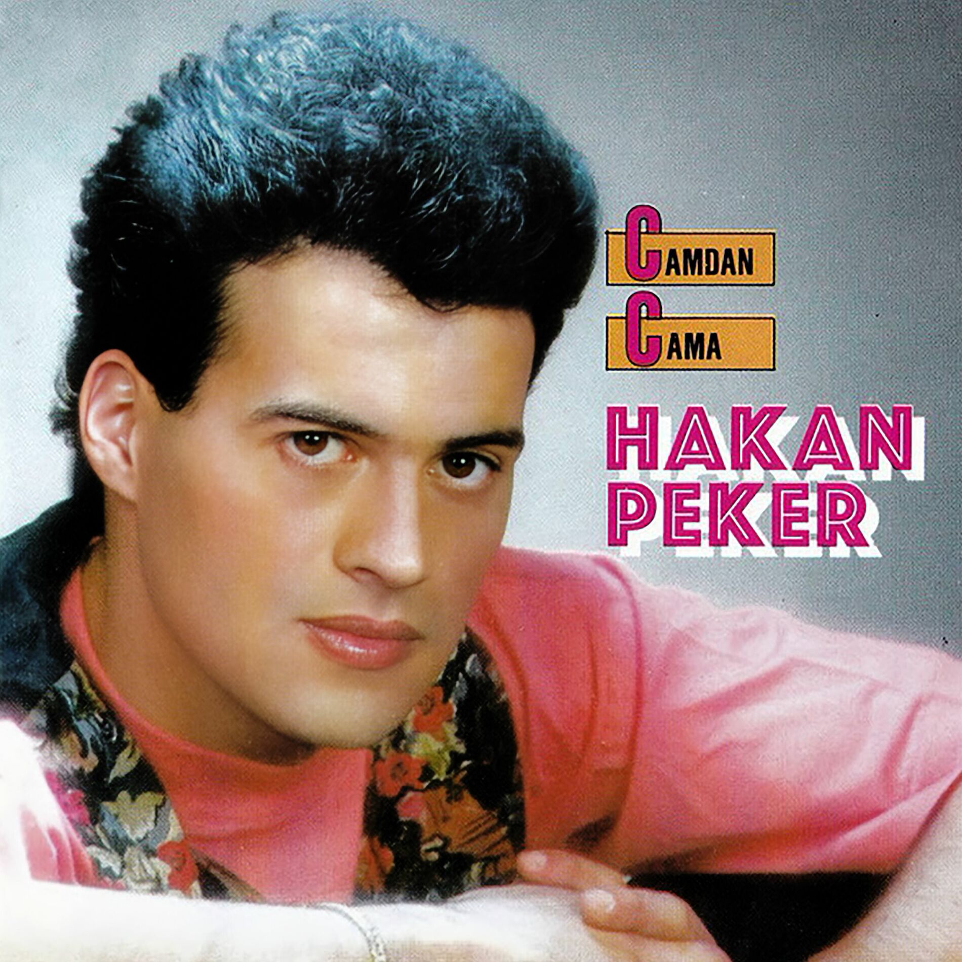 Album cover of Camdan Cama