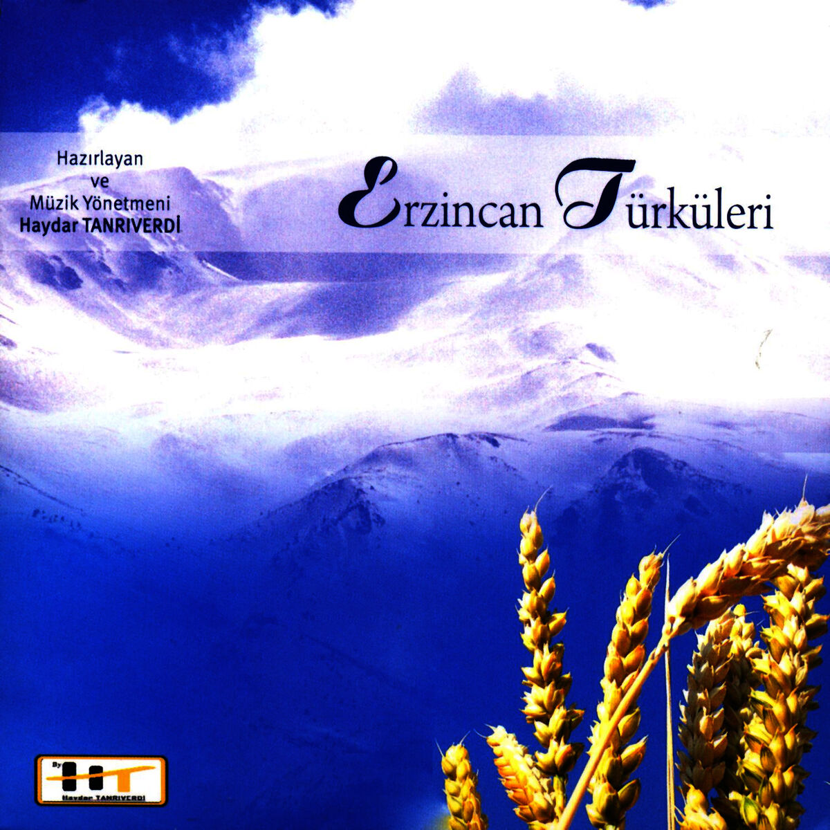 Album cover of Tanrıdan Diledim