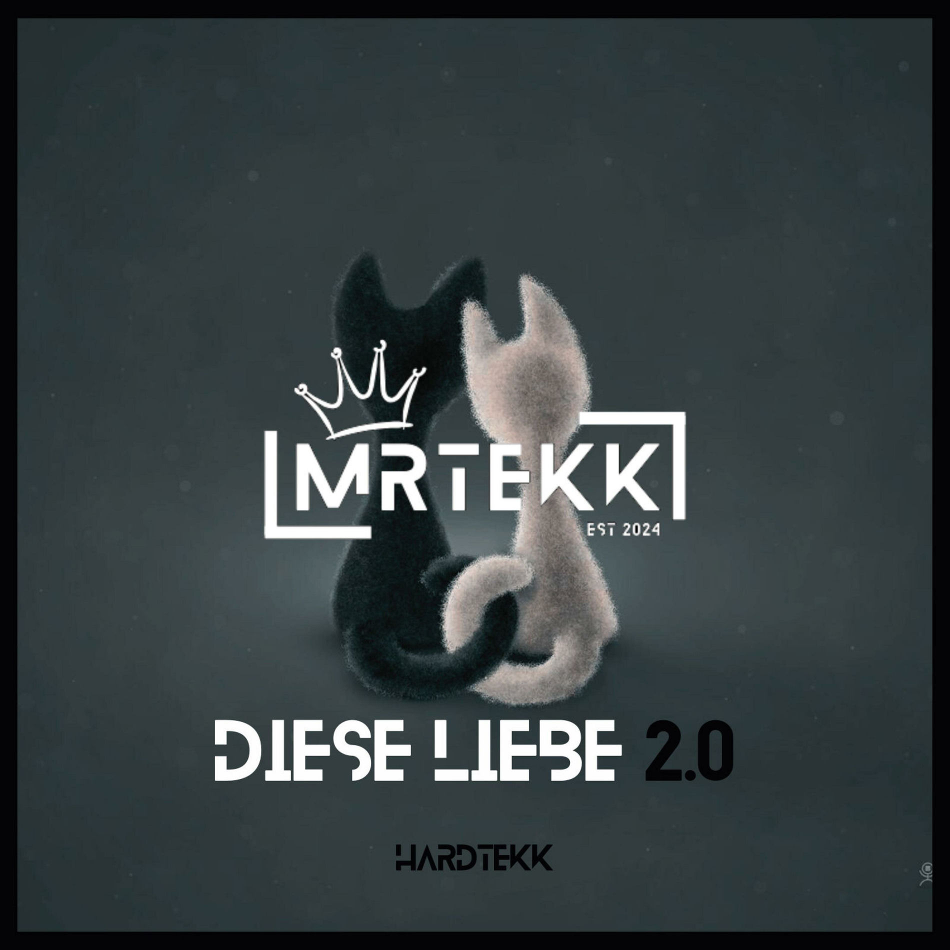 Album cover of Diese liebe 2.0 (feat. TEKKISLOVE) (Hardtekk)