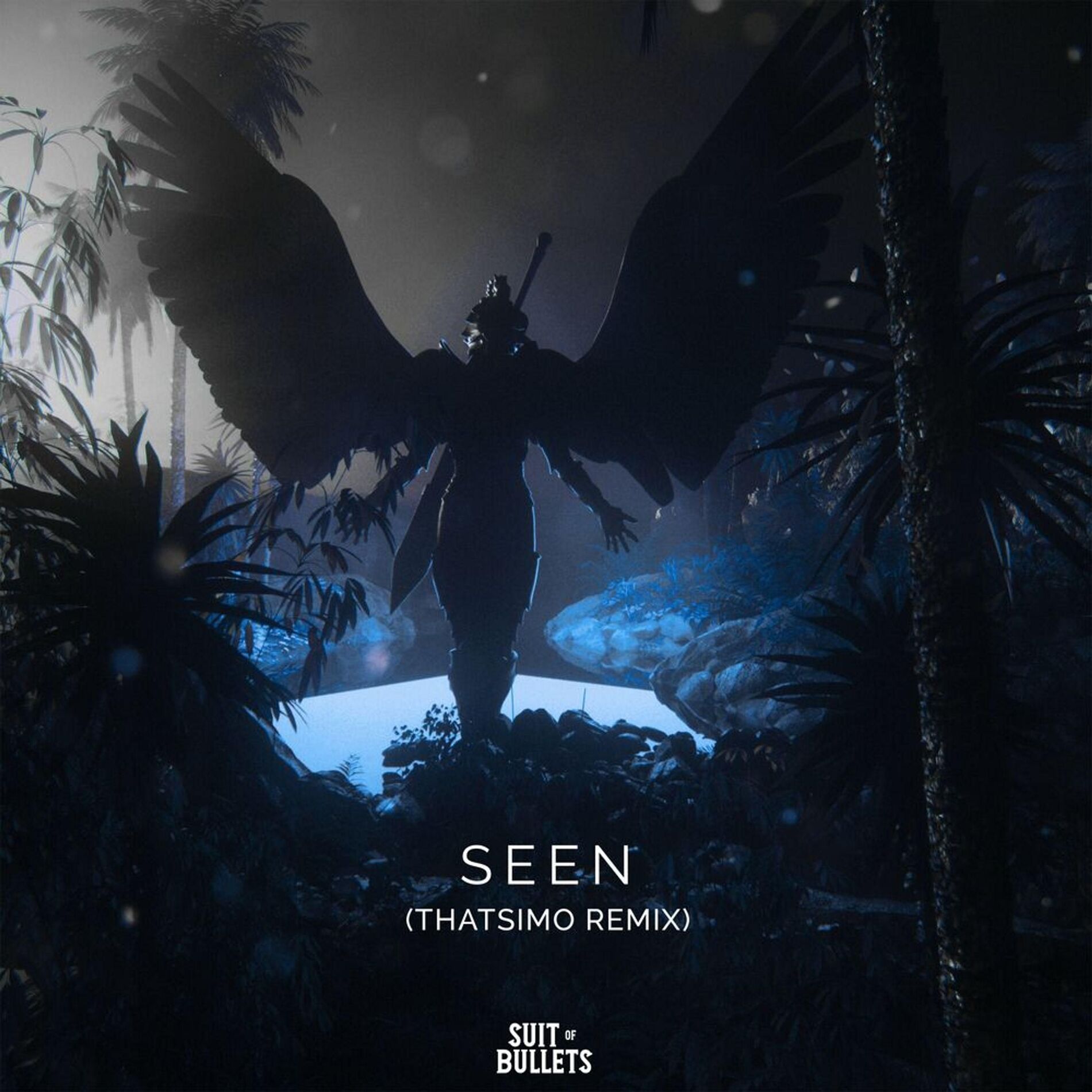 Album cover of Seen (feat. Veronica Bravo) [Thatsimo Remix]