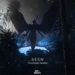 Seen (feat. Veronica Bravo) [Thatsimo Remix]