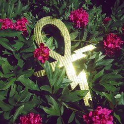 Cover of Paraphernalia