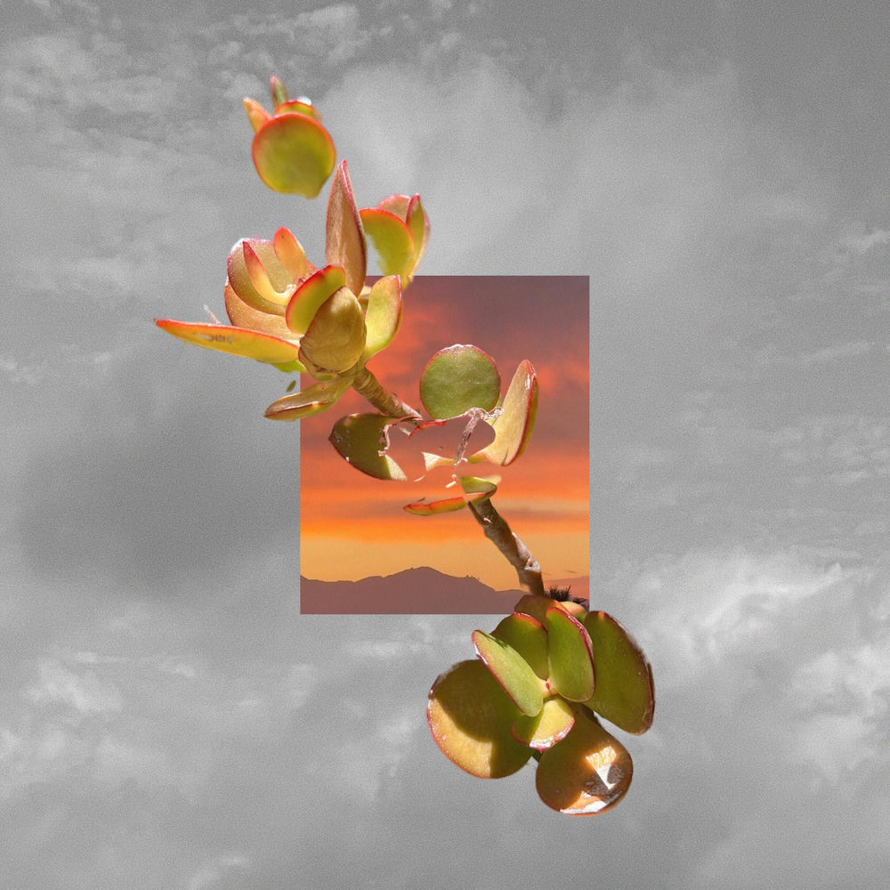 lost in the crowd artwork