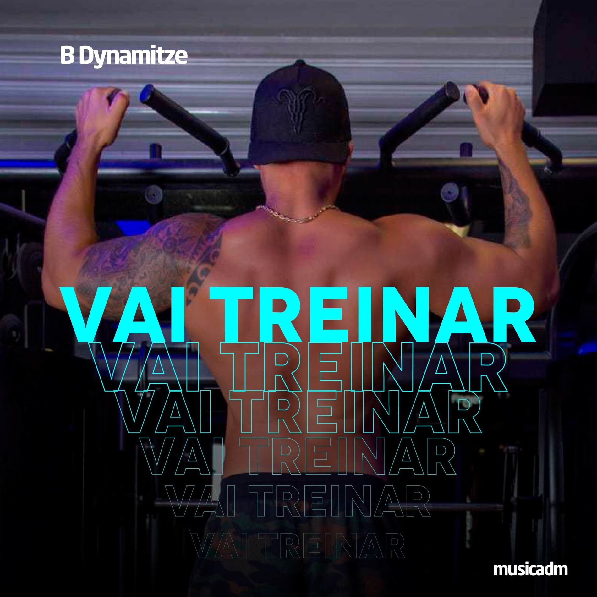 Album cover of Vai Treinar