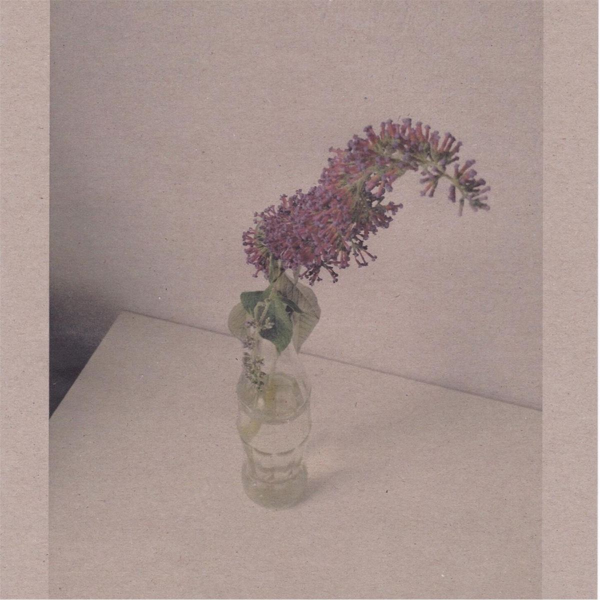 Album cover of The Morning Is a River