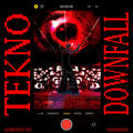 Tekno Downfall (feat. HannibaSs)