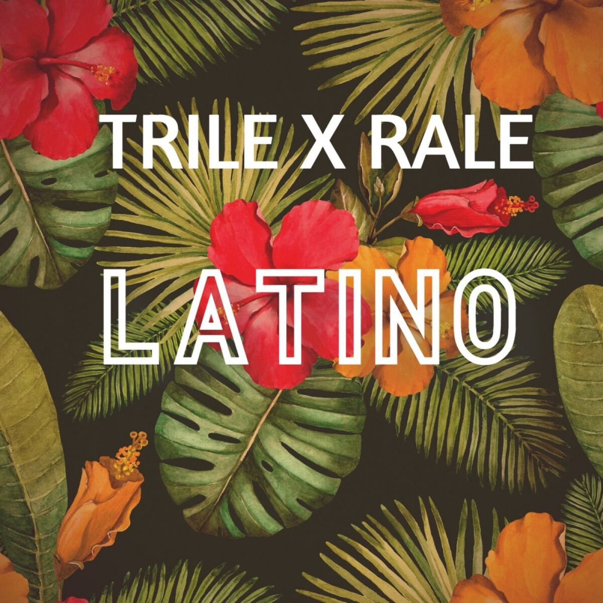Album cover of Latino