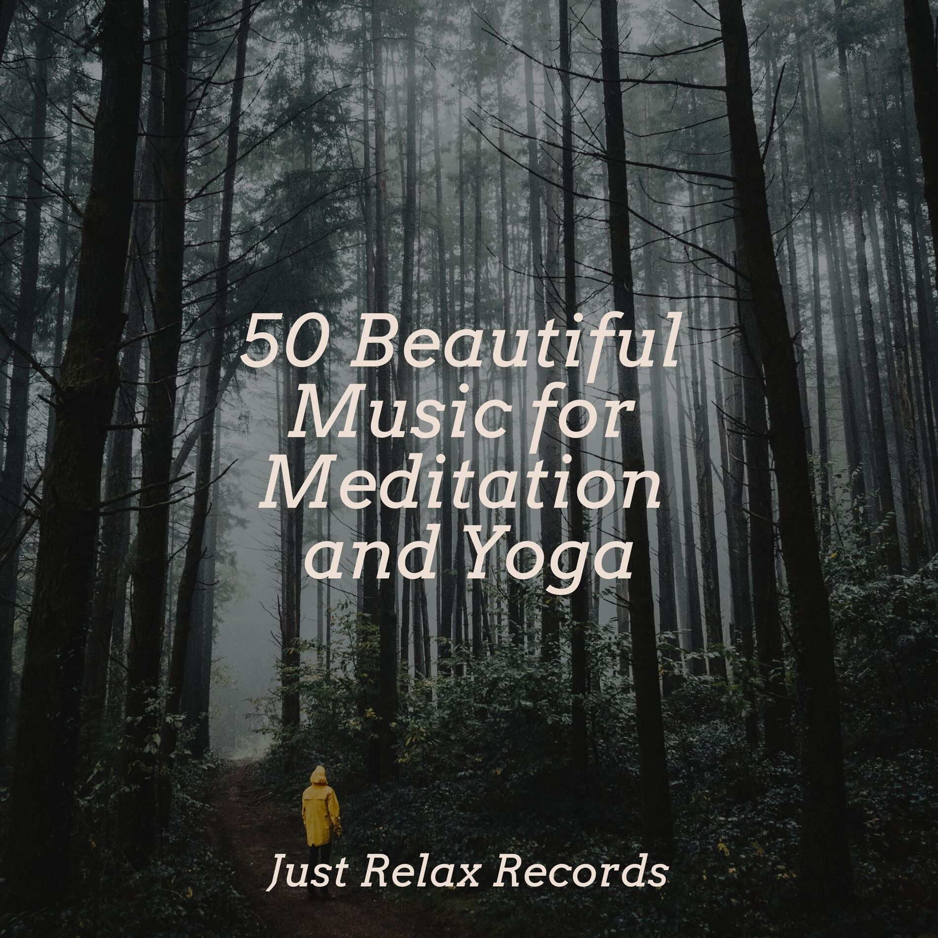 Album cover of 50 Beautiful Music for Meditation and Yoga
