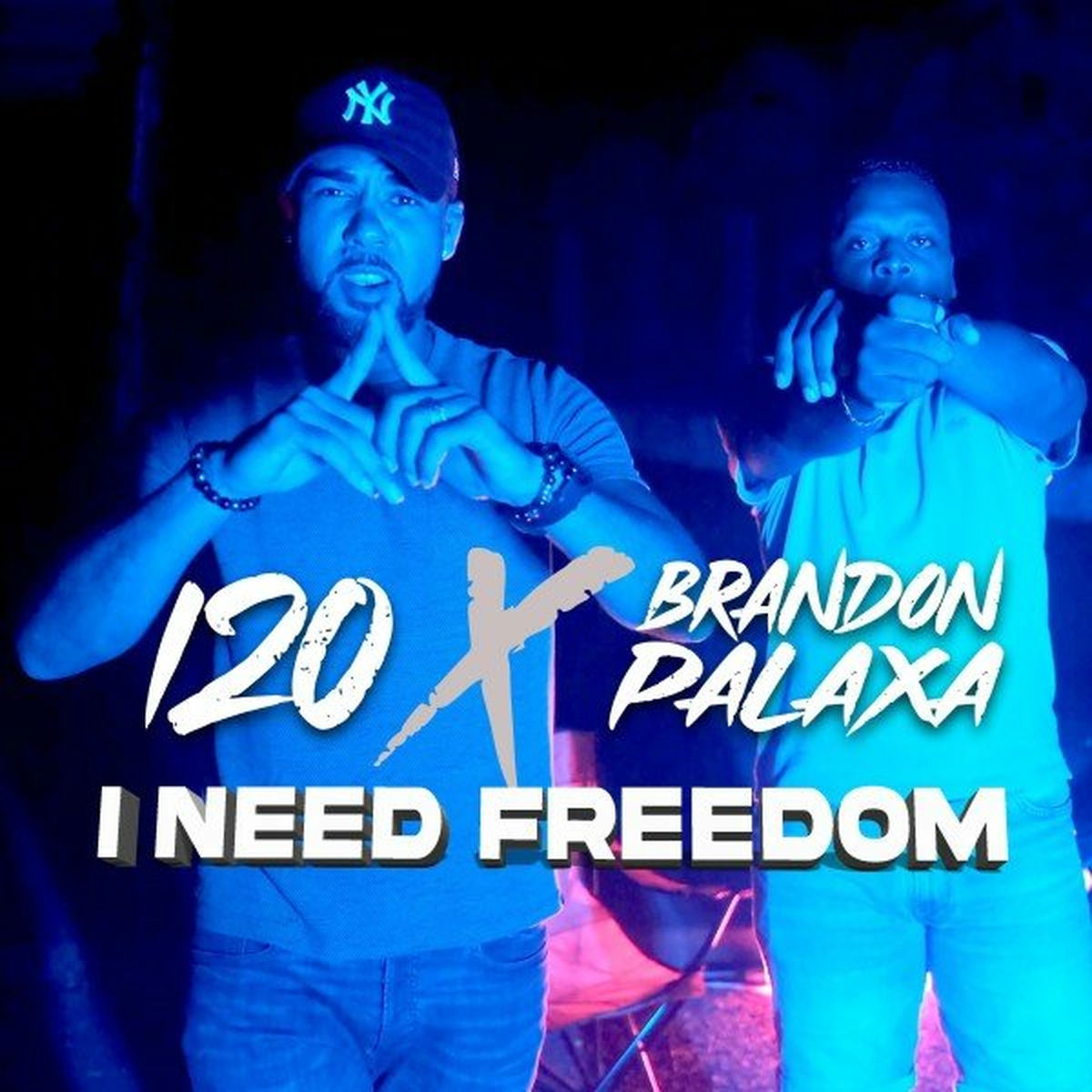 Album cover of I Need Freedom