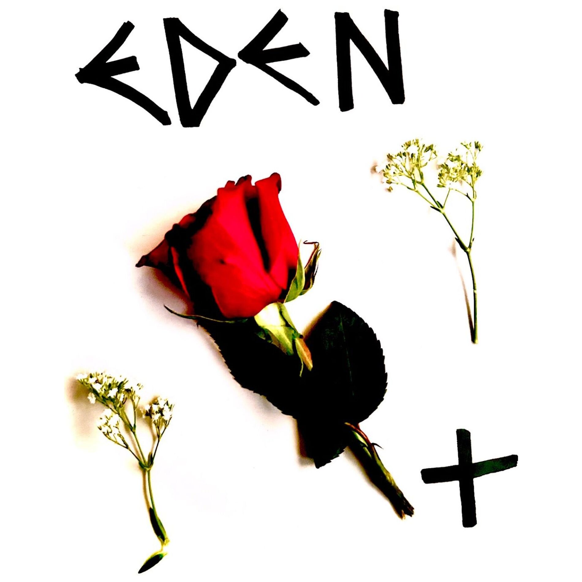 Album cover of EDEN