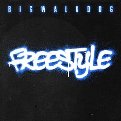 Cover of Freestyle