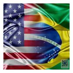 Cover of Conexão