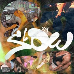 Cover of EM SLOW