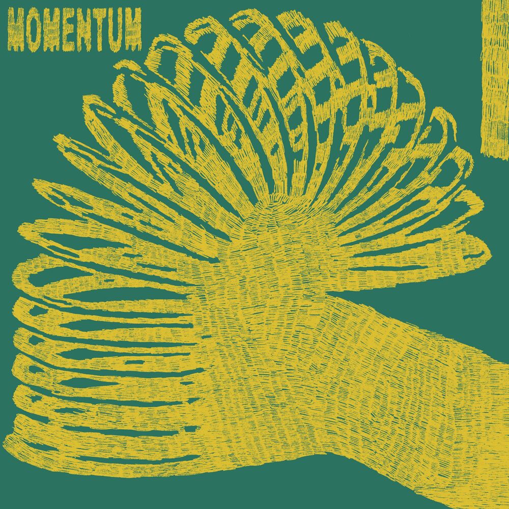 Picture of Momentum