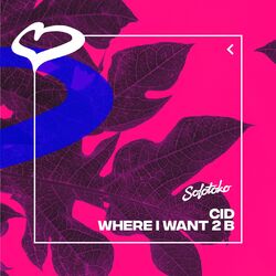 Cover of Where I Want 2 B