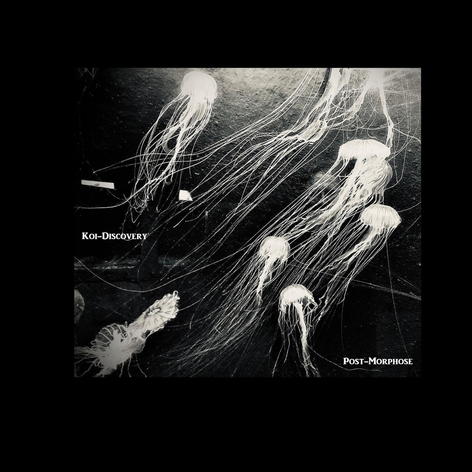 Album cover of Godandrame