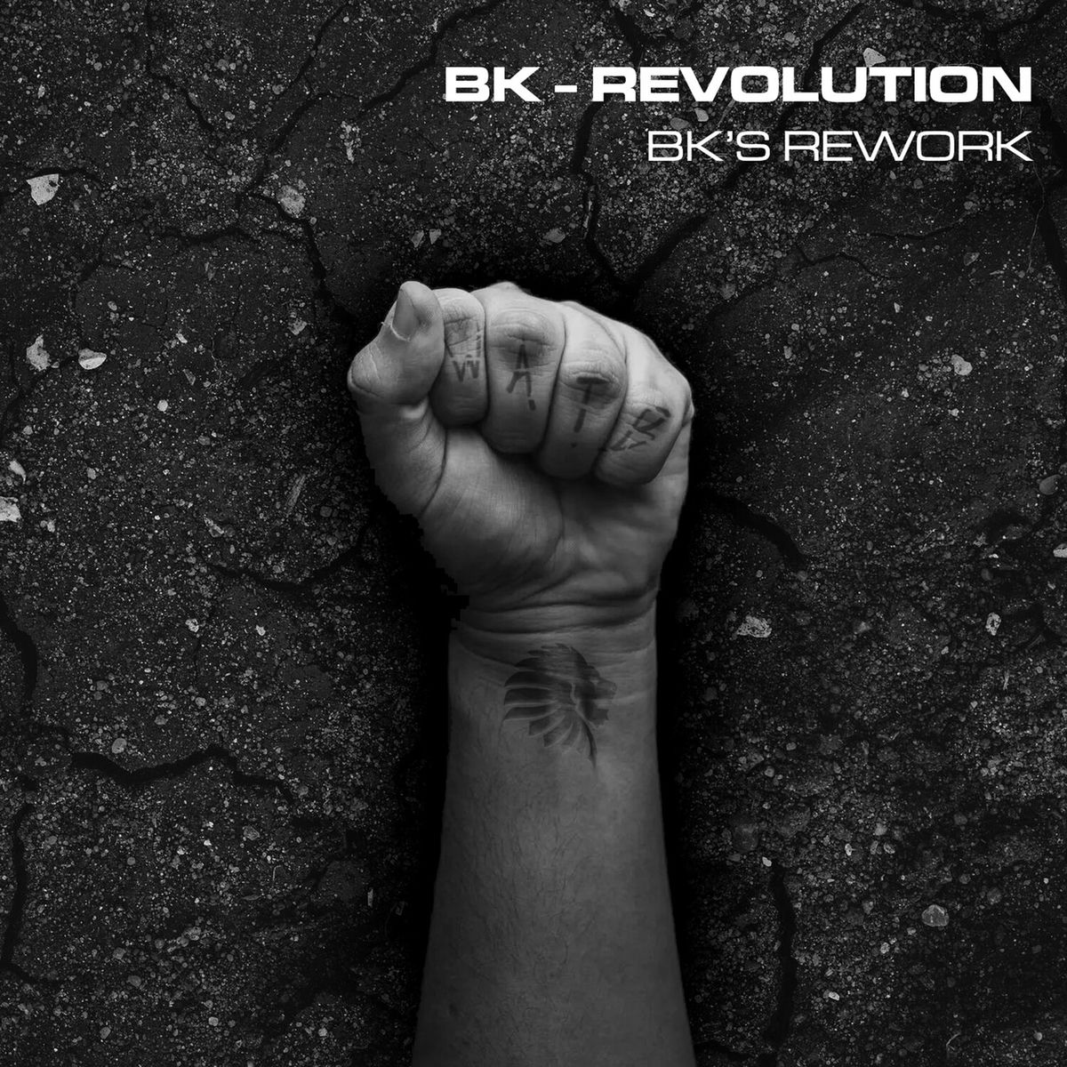Album cover of Revolution