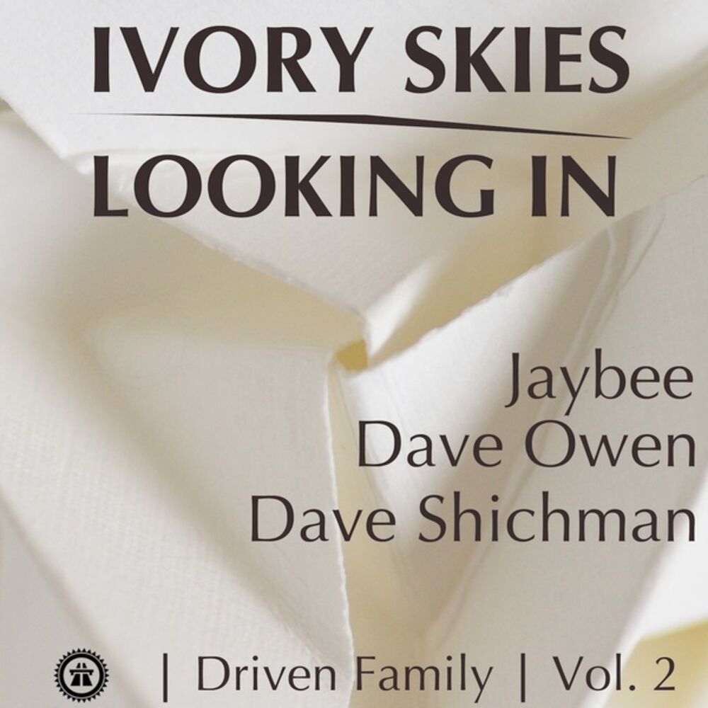 Picture of Driven Family, Vol. 2