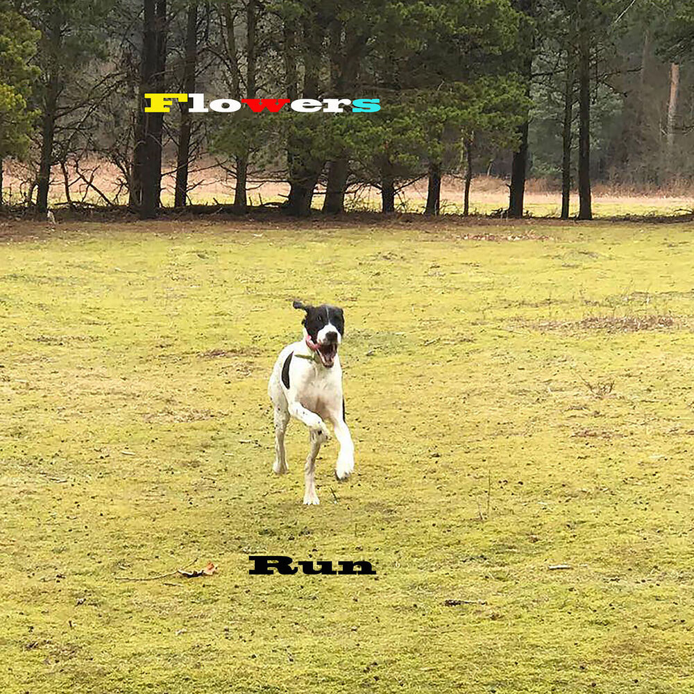 Picture of Run