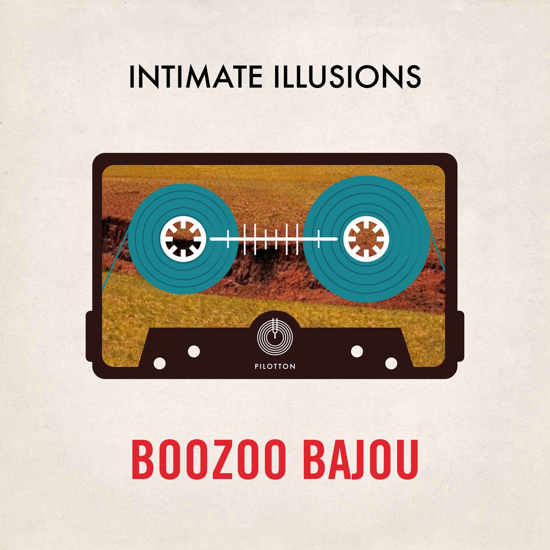 Album cover of Intimate Illusions