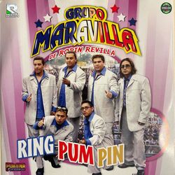 Cover of Ring Pum Pin