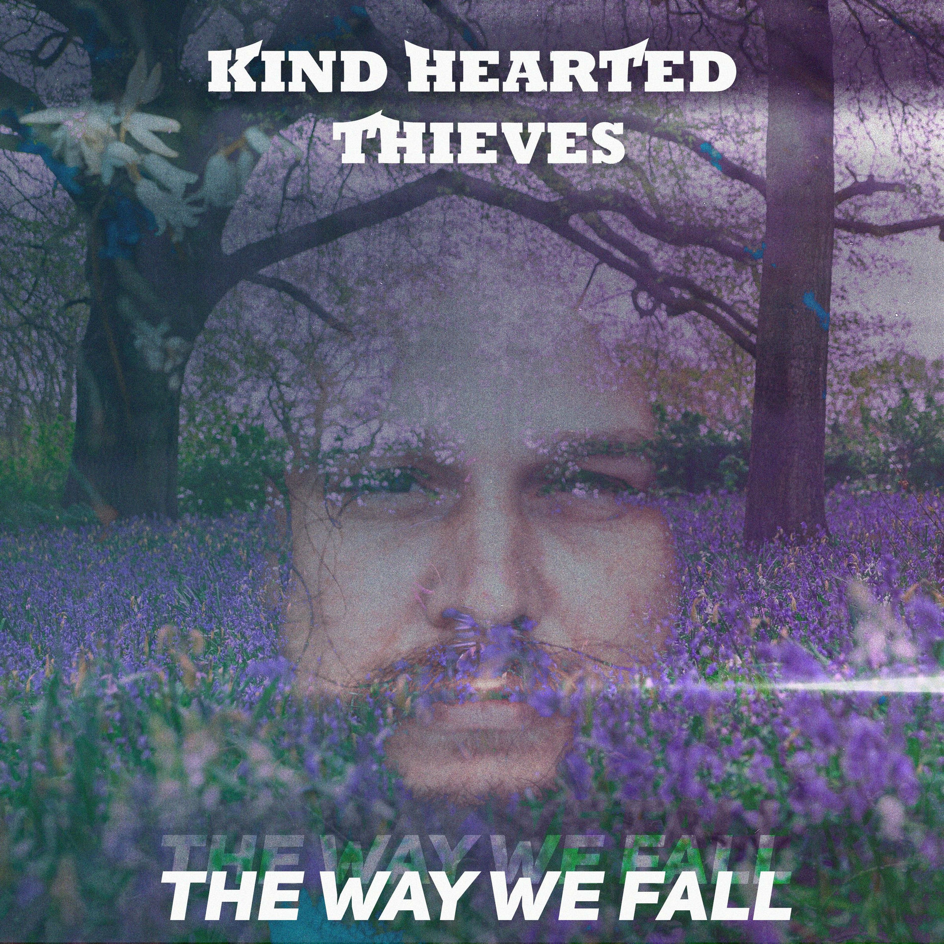 Album cover of The Way We Fall