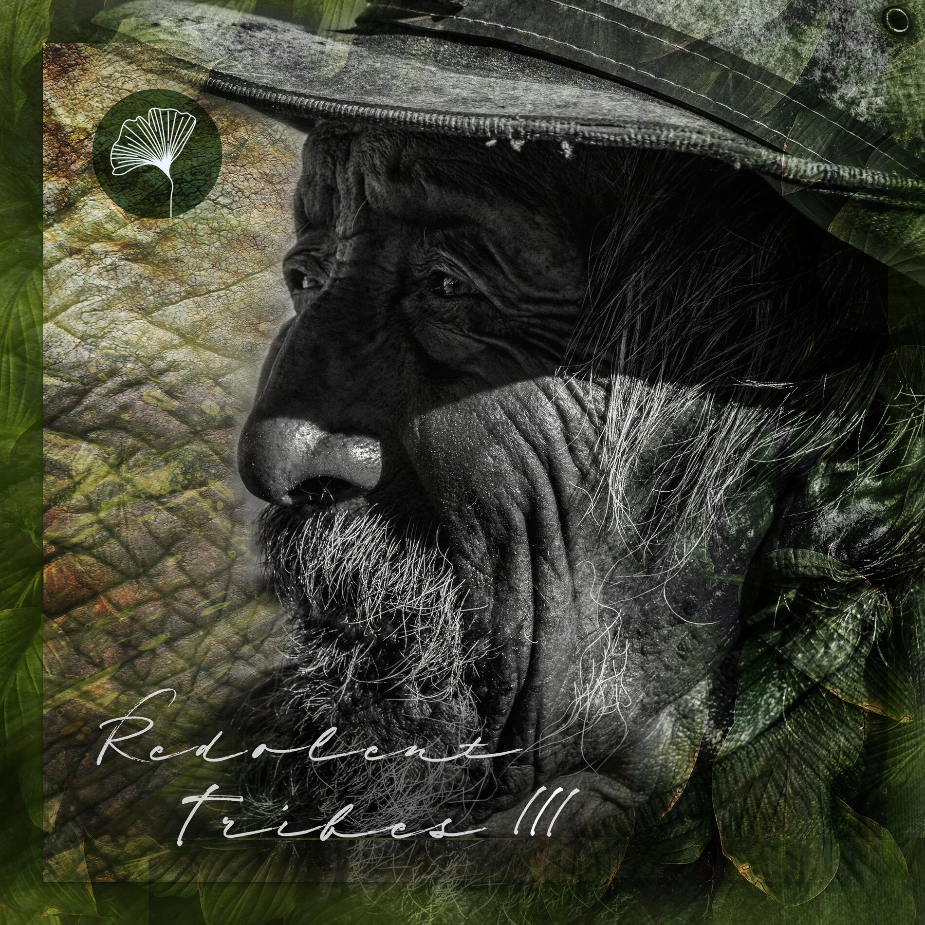 Album cover of Redolent Tribes, Vol.3 (Curated by Dj Chus)