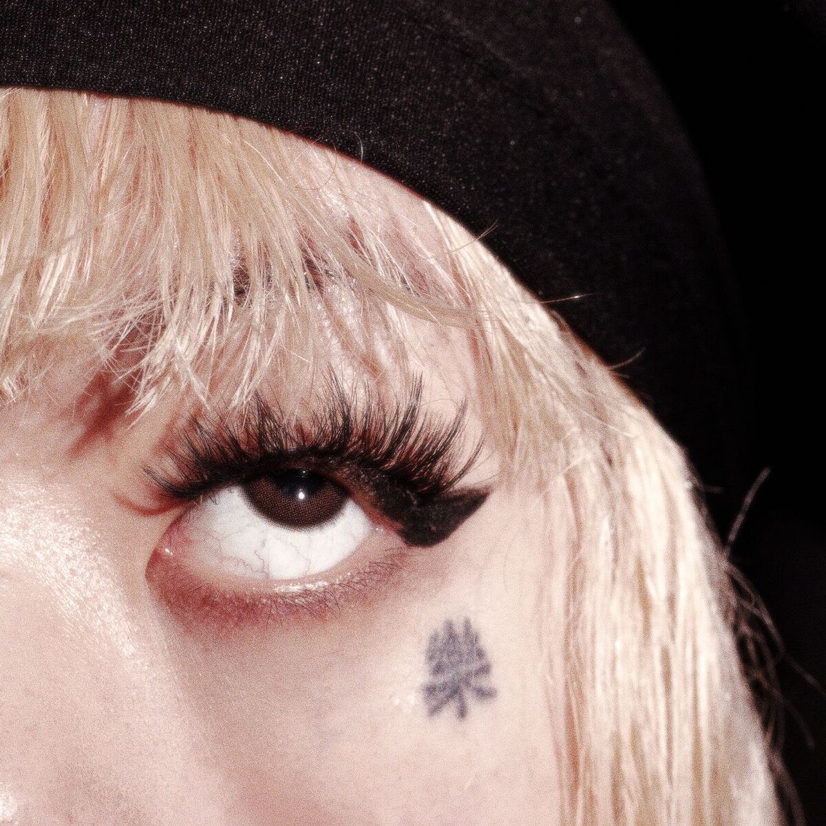 Album cover of Dark Thoughts