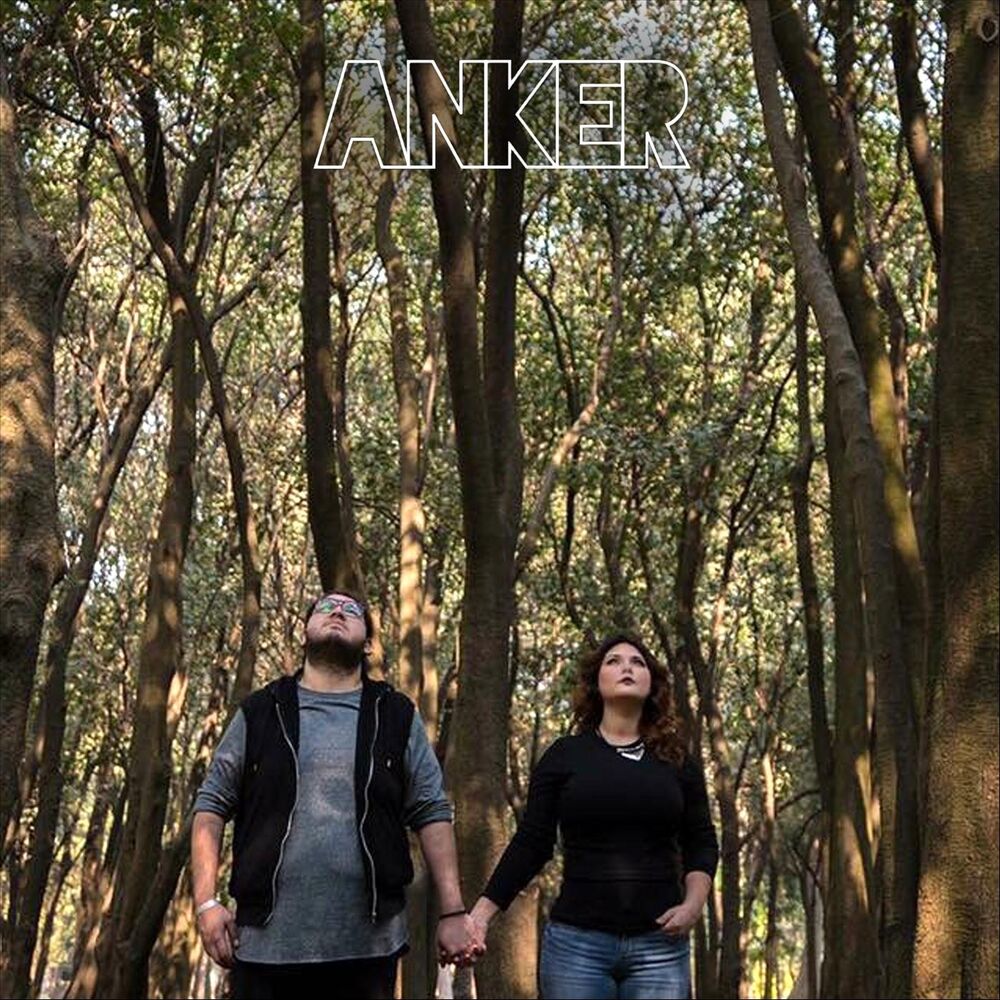 Picture of Anker