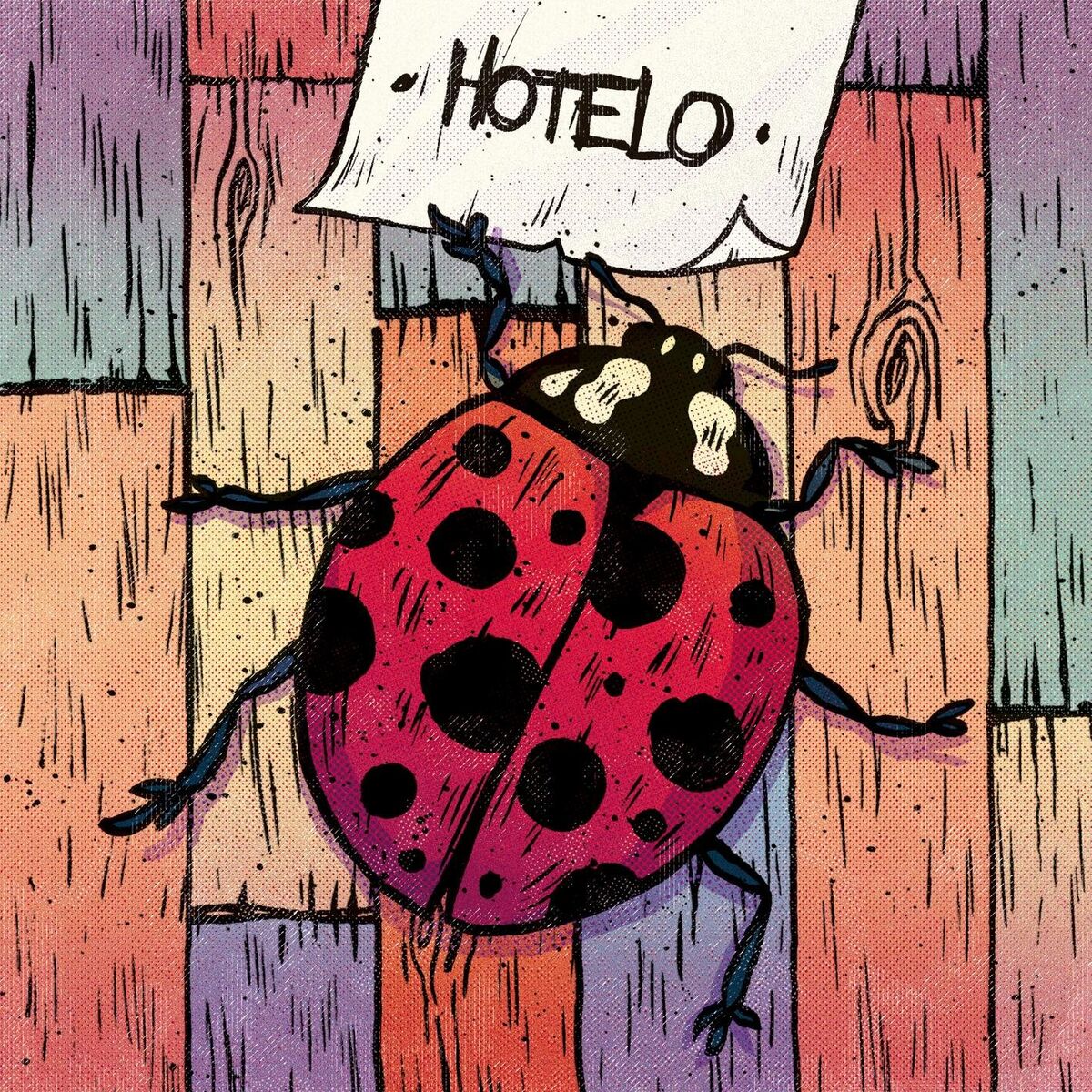 Album cover of Sorte