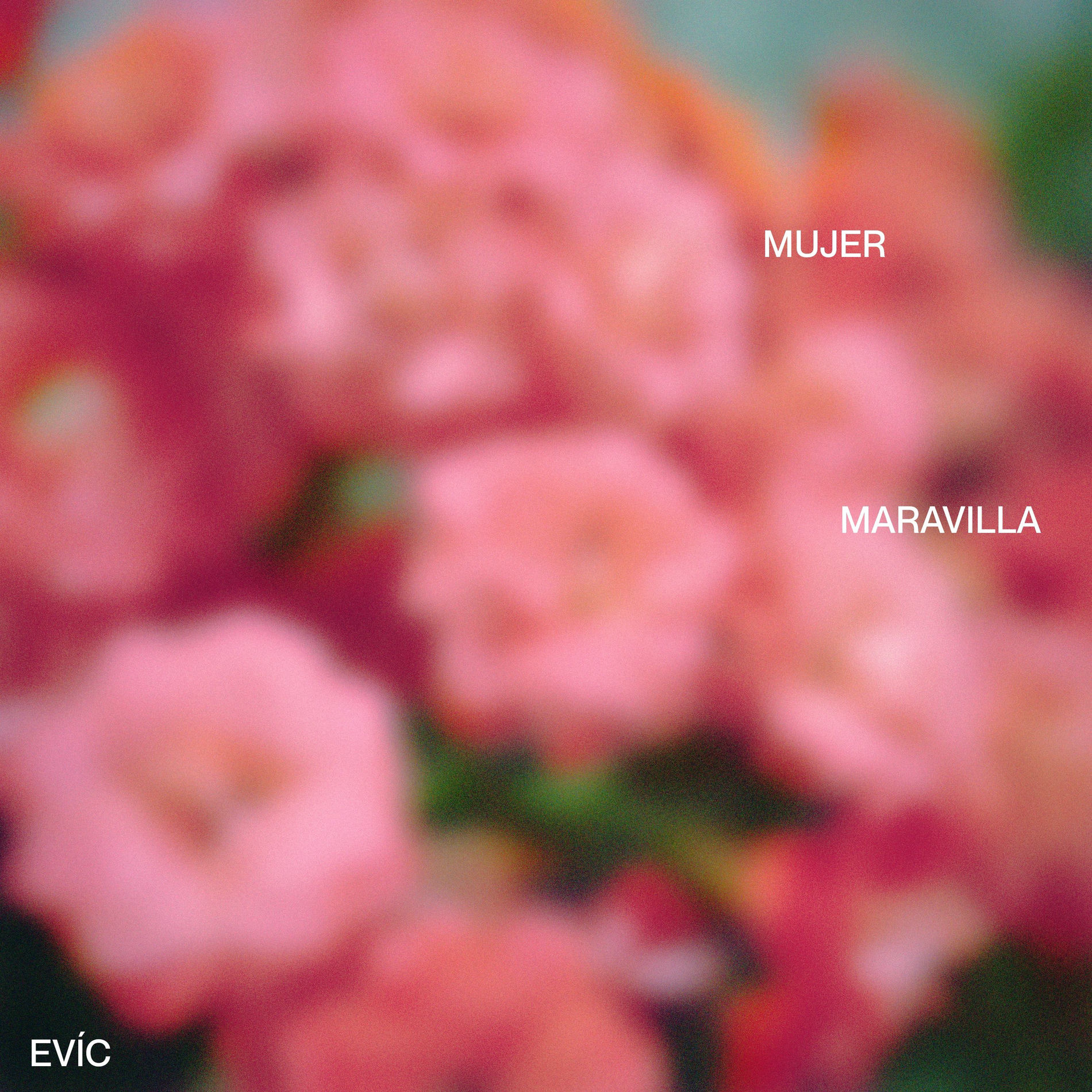 Album cover of MUJER MARAVILLA
