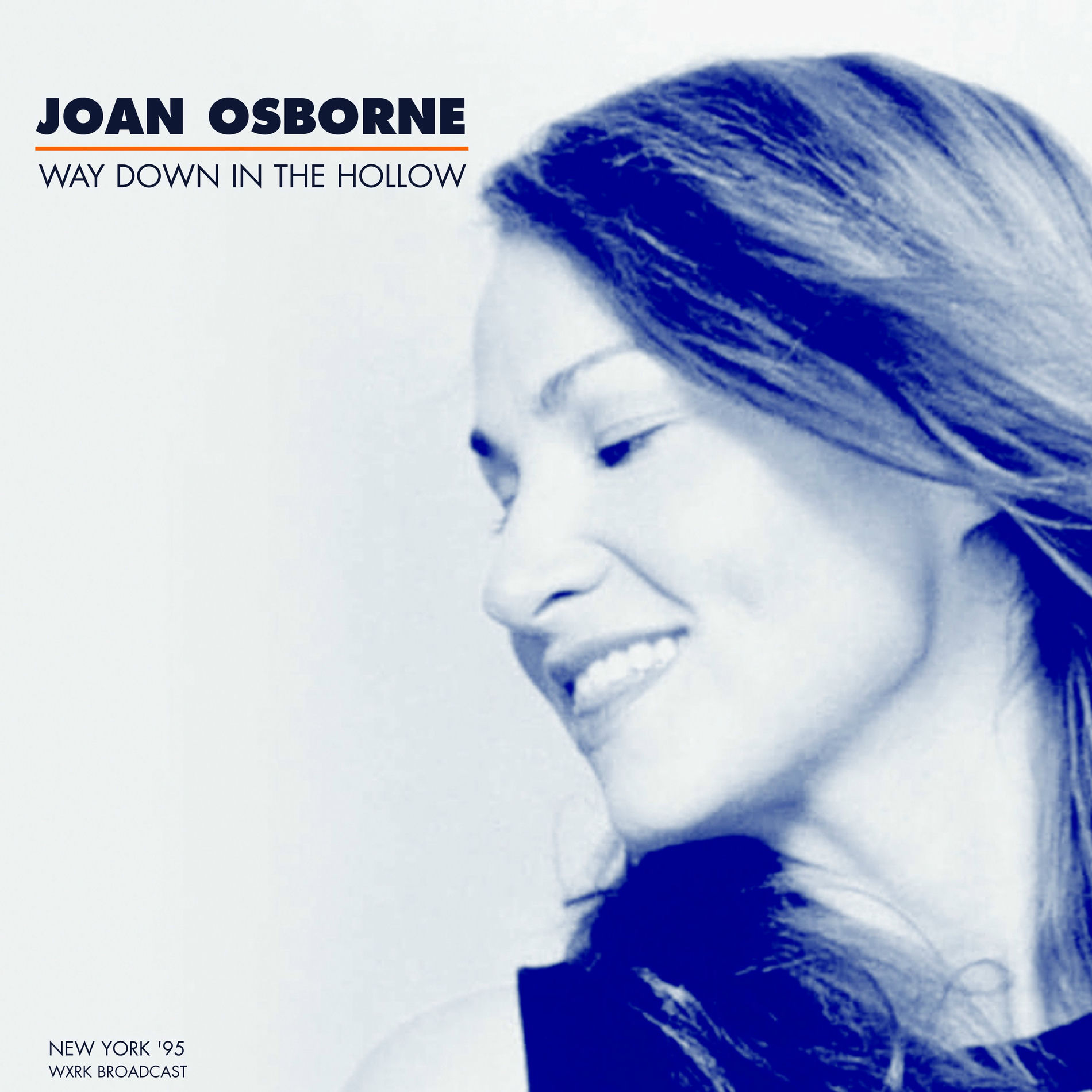 Album cover of Way Down In The Hollow (Live In New York '95)