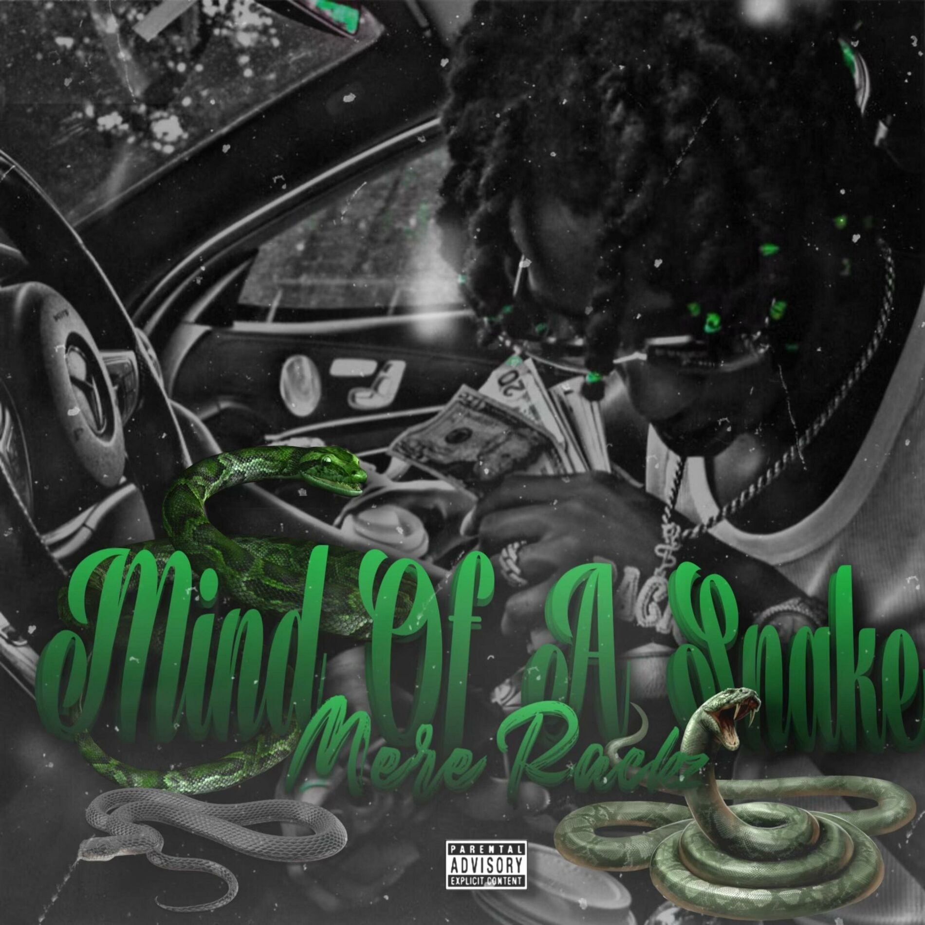 Album cover of Mind Of Snake