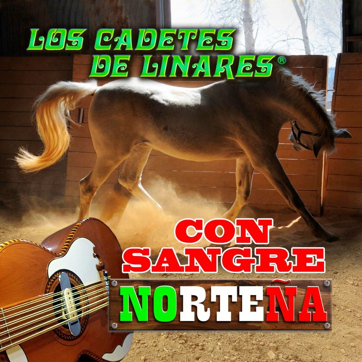 Album cover of Con Sangre Norteña