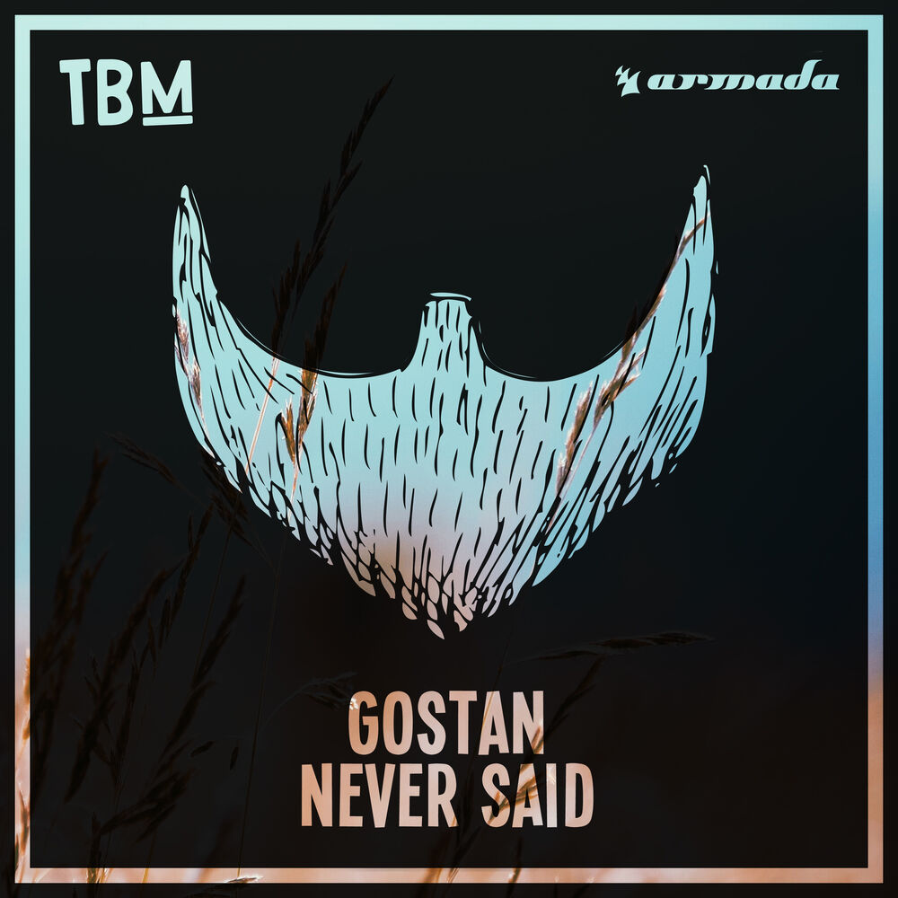 Picture of Never Said