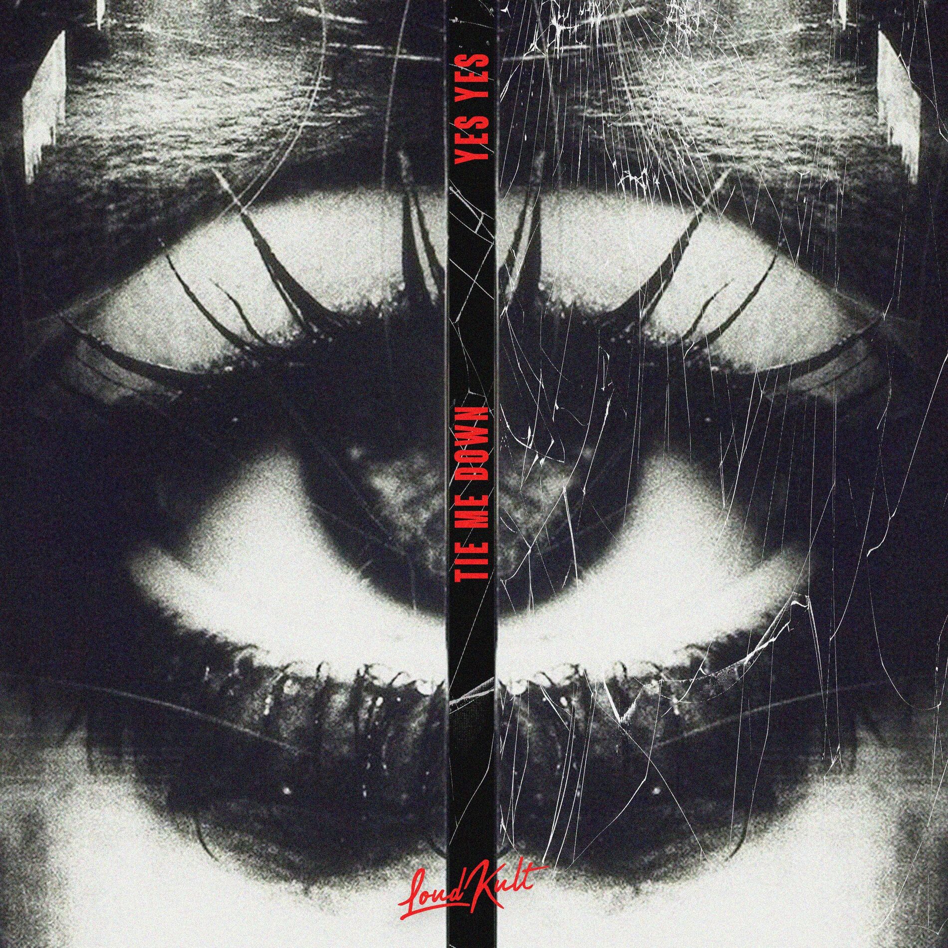 Album cover of Tie me down