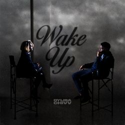 Cover of Wake Up