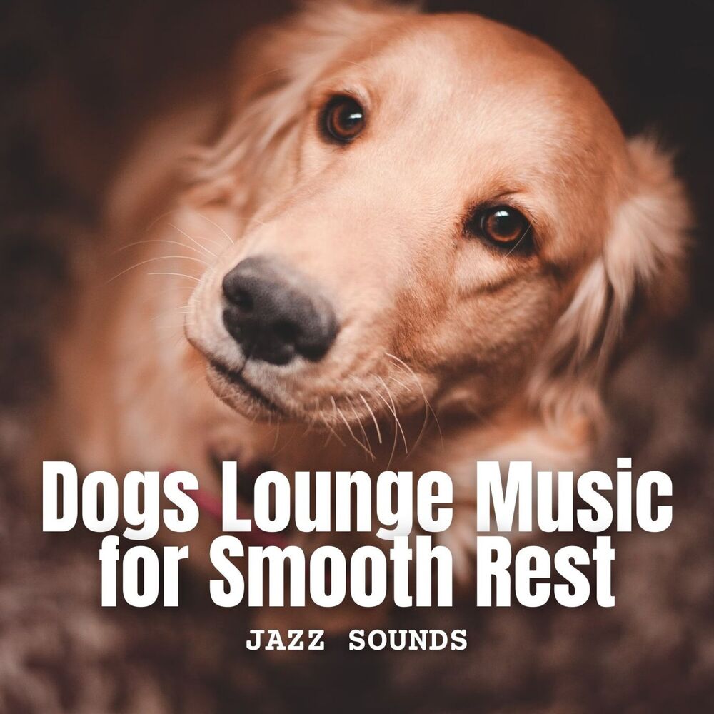 Picture of Jazz Sounds: Dogs Lounge Music for Smooth Rest